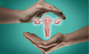 hysterectomy-uterus