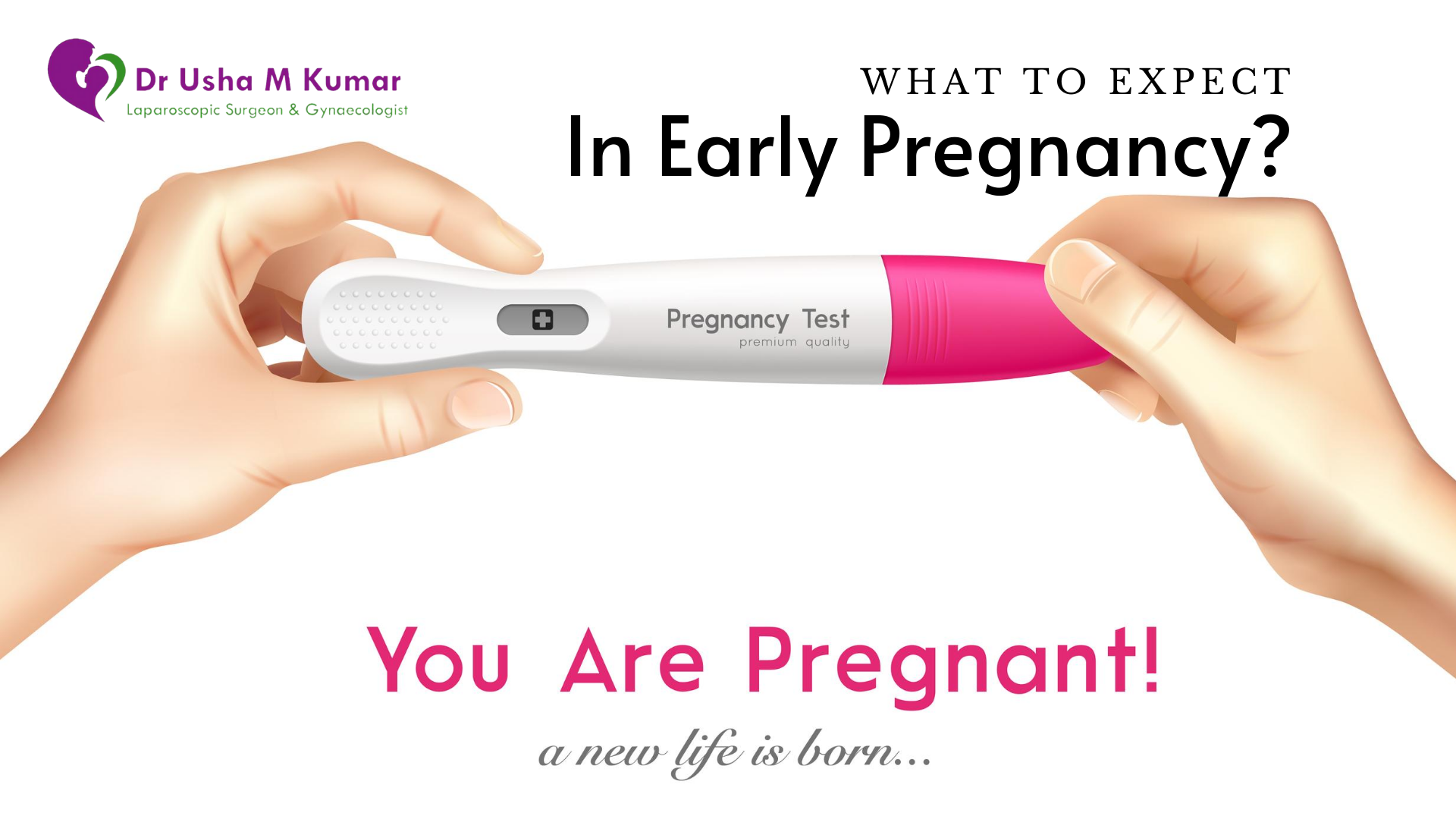 First Trimester of Pregnancy