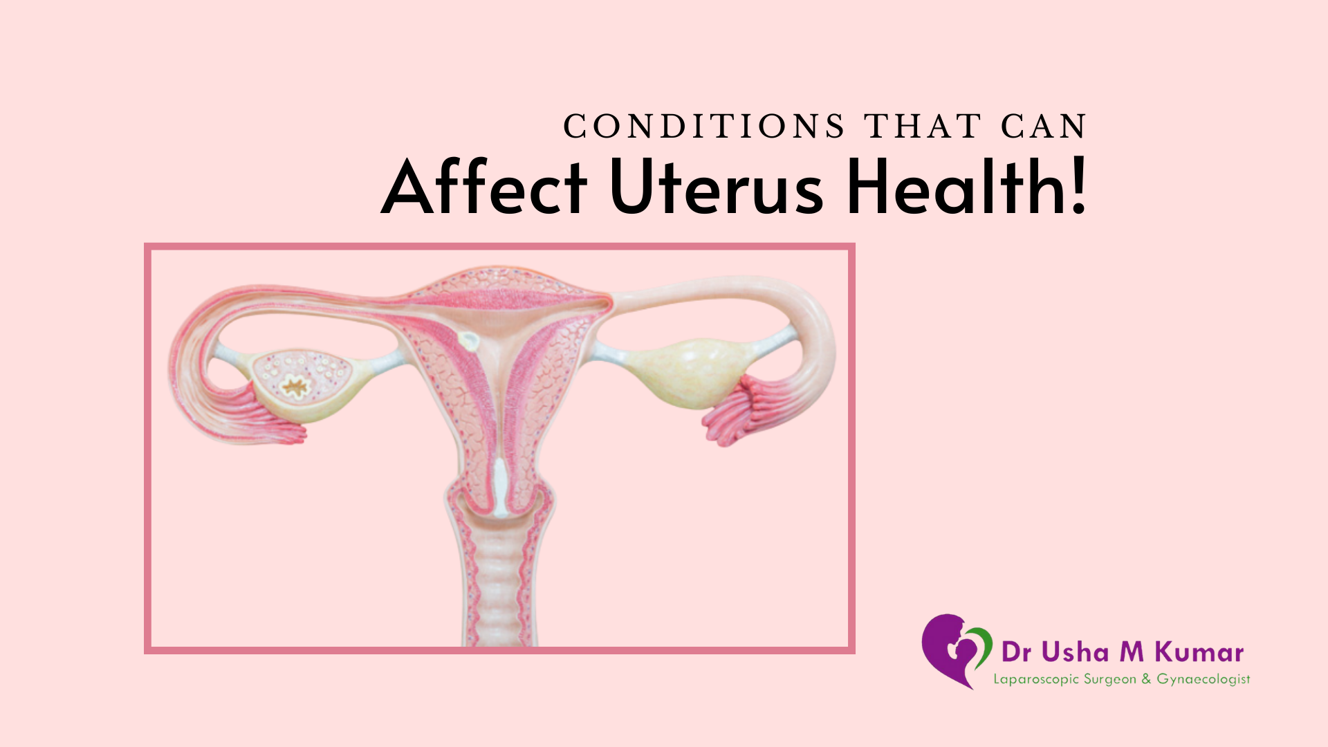 Conditions that affect Uterus Health