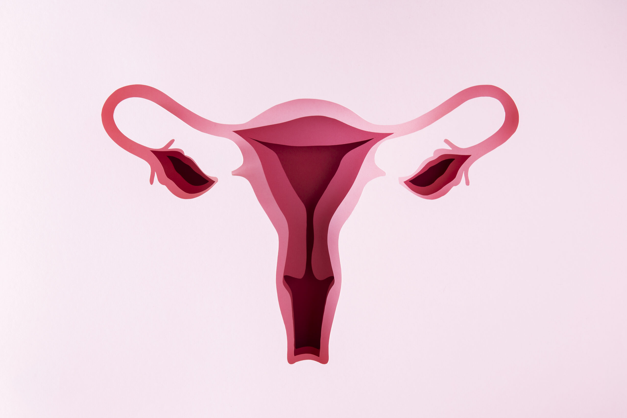 Best Endometriosis Doctors in Delhi - Dr. Usha M Kumar