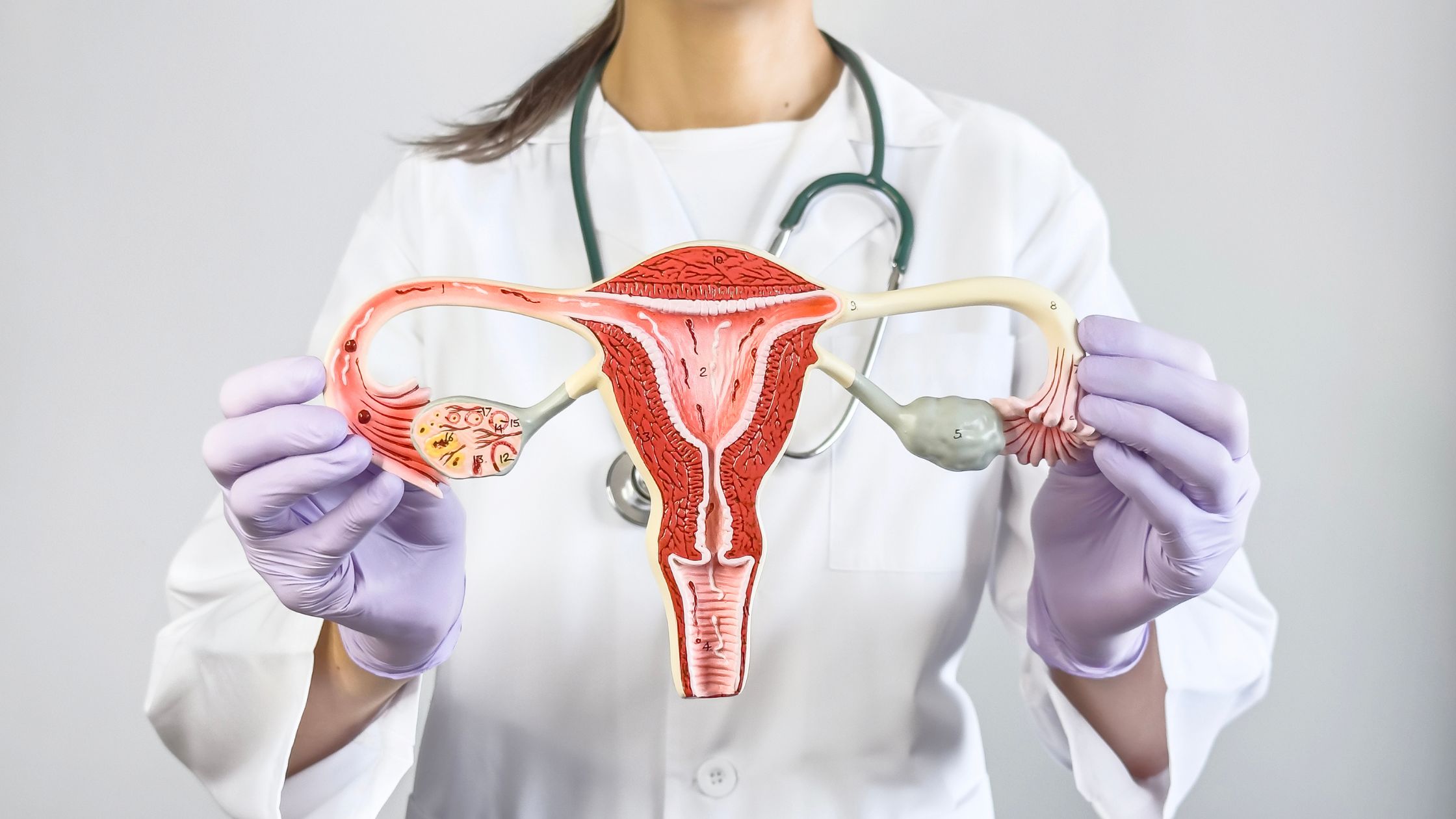 Best Gynaecologist in Delhi - Dr. Usha M Kumar